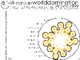 R01 screenshot